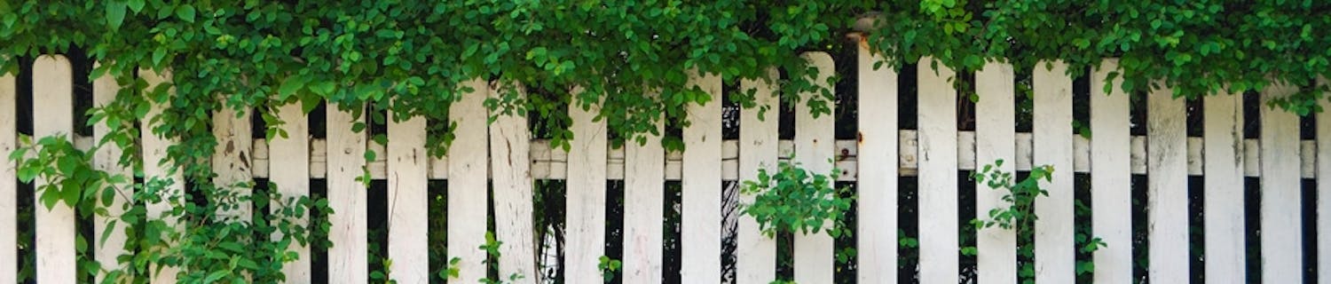 Ge staketet 5 år till Ge staketet 5 år till